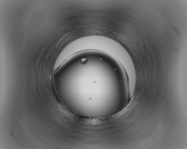 X0000112930140200909141341