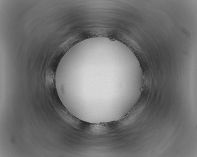 X0000112930141200909141341