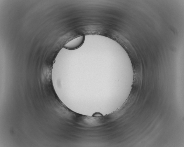 X0000112930142200909141341