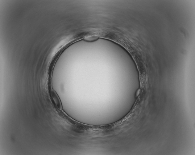 X0000112930150200909141340