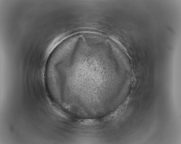 X0000112930151200909141340
