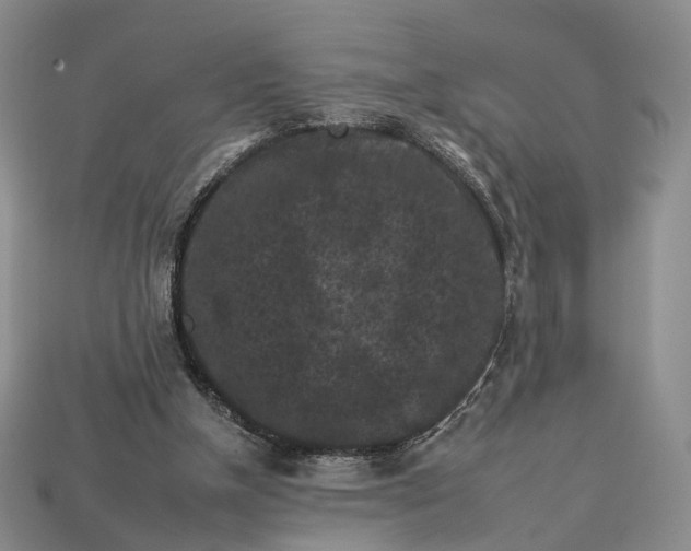 X0000112930154200909141340
