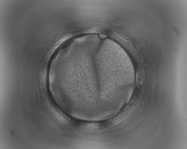 X0000112930156200909141340