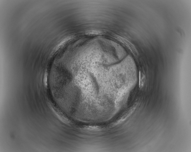 X0000112930157200909141340
