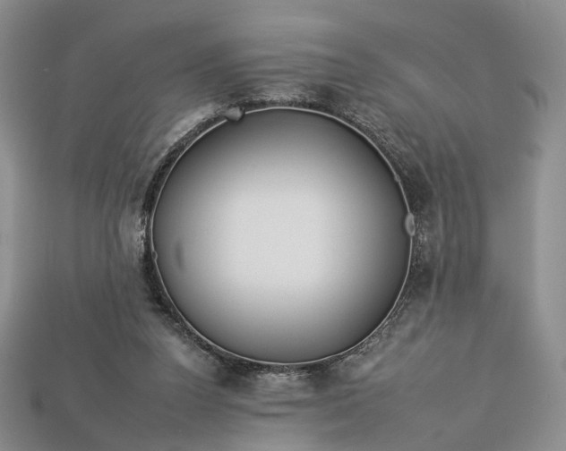 X0000112930160200909141340