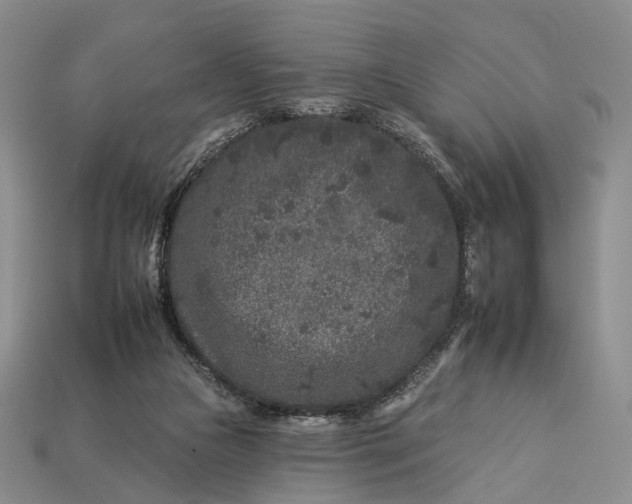 X0000112930161200909141340