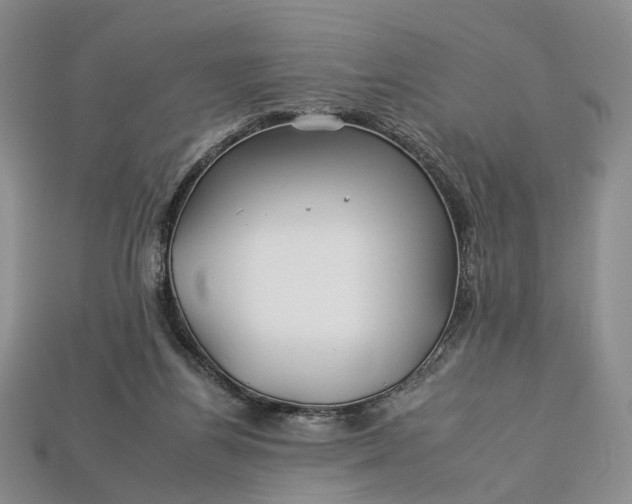 X0000112930164200909141340