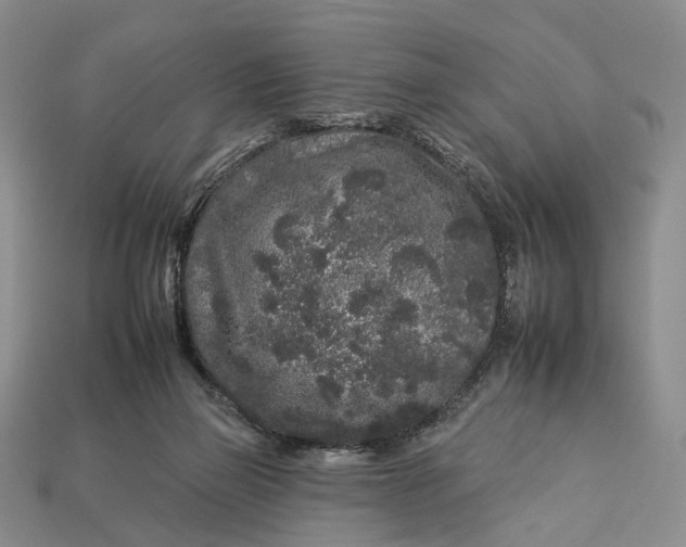 X0000112930165200909141340