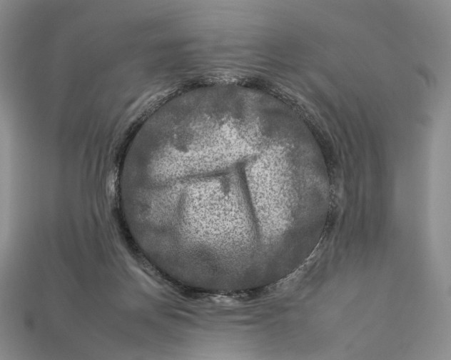 X0000112930166200909141340