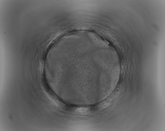 X0000112930168200909141341