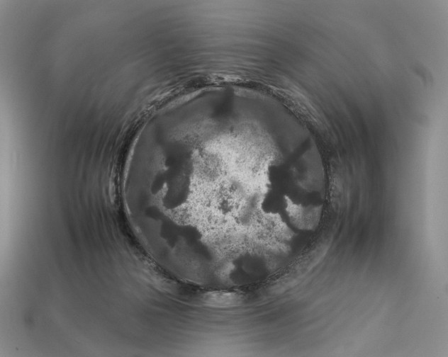 X0000112930169200909141341
