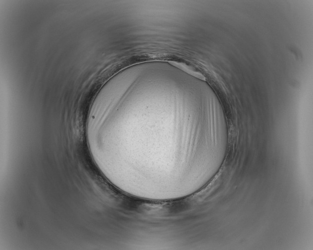 X0000112930170200909141341