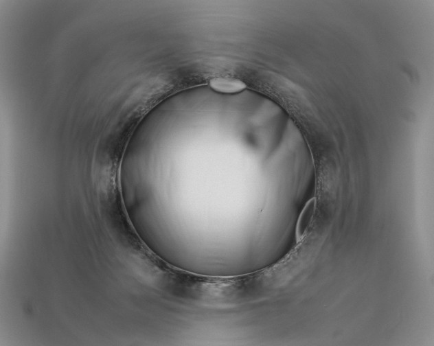 X0000112930172200909141341