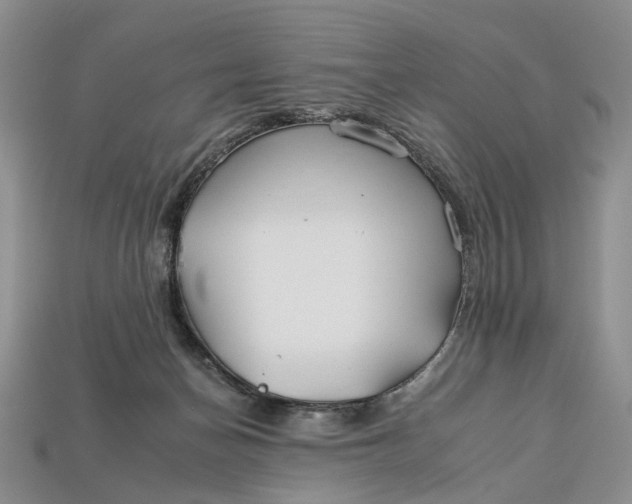 X0000112930174200909141341