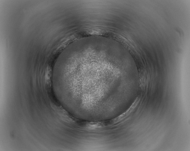 X0000112930175200909141341