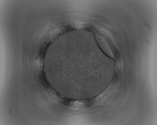 X0000112930180200909141341