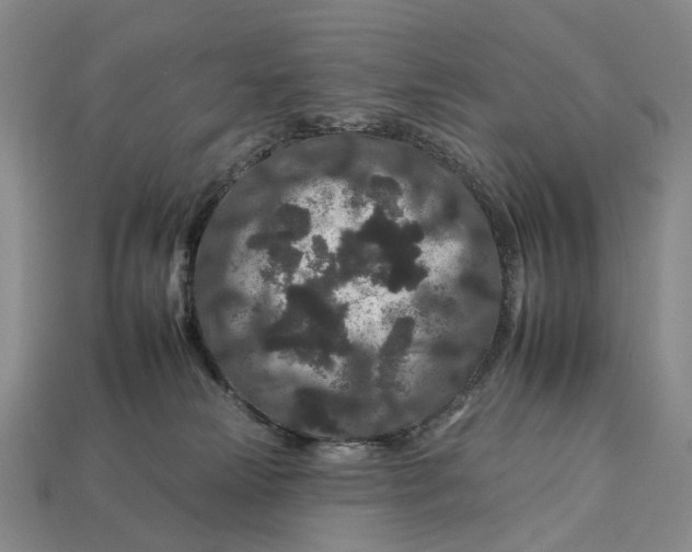 X0000112930181200909141341