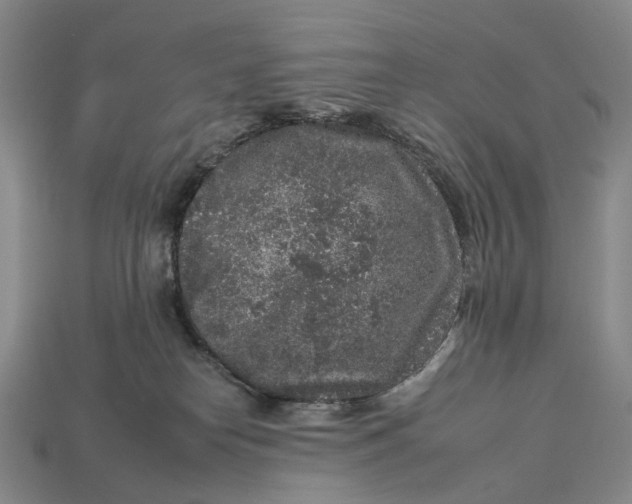 X0000112930182200909141341