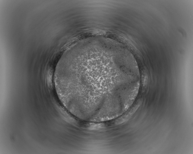 X0000112930185200909141341