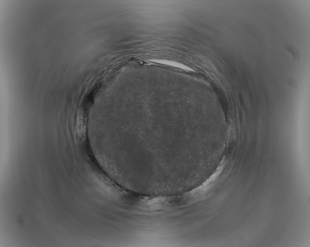 X0000112930186200909141341