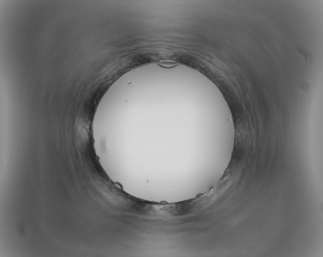 X0000112930188200909141341