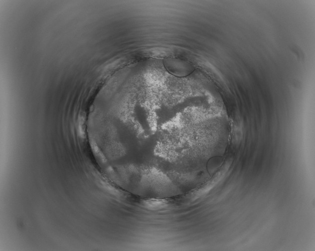 X0000112930189200909141341