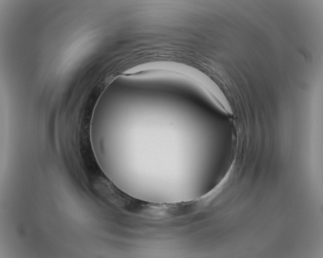 X0000112930190200909141341