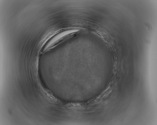 X0000112930194200909141340