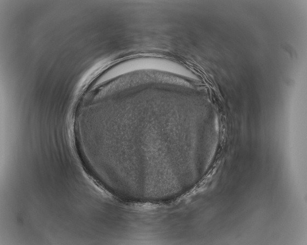 X0000112930197200909141340