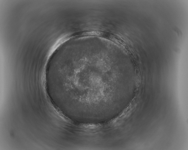 X0000112930198200909141340