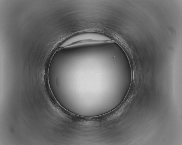 X0000112930201200909141340