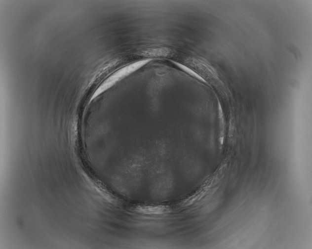 X0000112930202200909141340