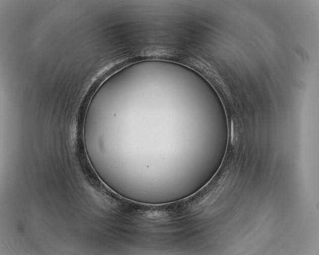 X0000112930204200909141340