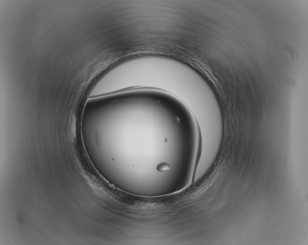 X0000112930205200909141340