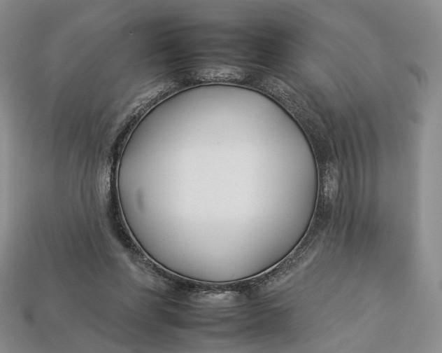 X0000112930206200909141340