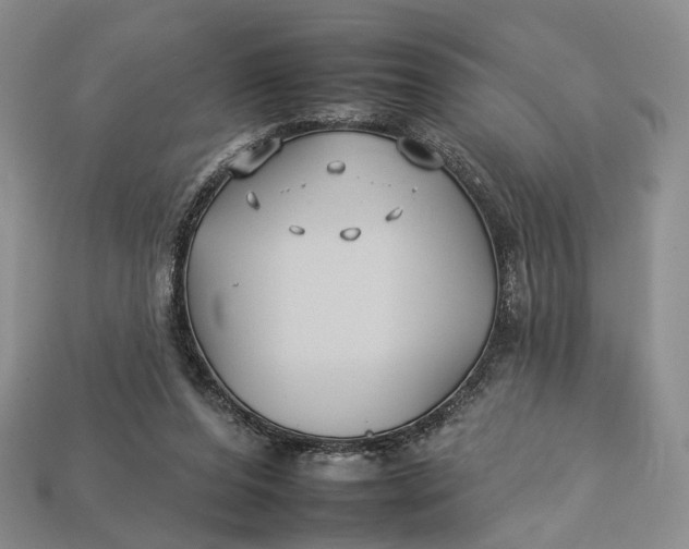 X0000112930208200909141340