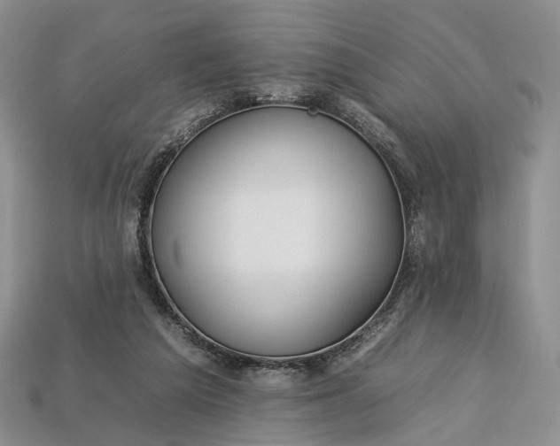 X0000112930209200909141340