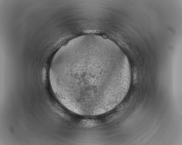 X0000112930211200909141340
