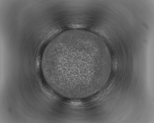 X0000112930214200909141340