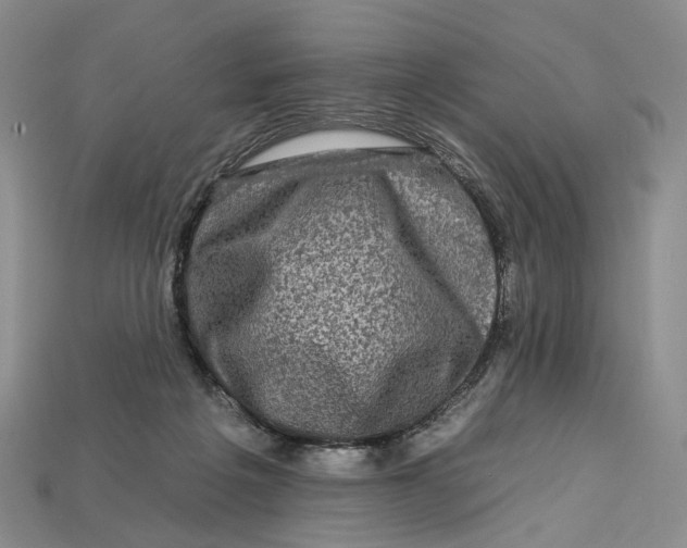 X0000112930217200909141340