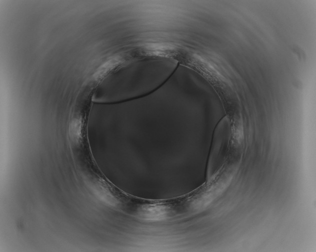 X0000112930219200909141340