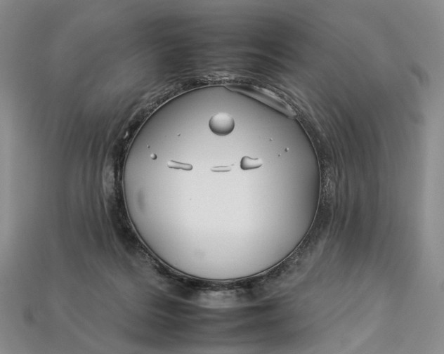 X0000112930220200909141340