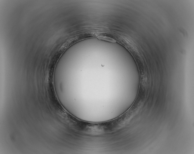X0000112930221200909141340