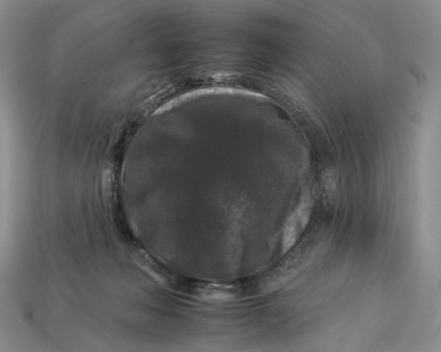 X0000112930222200909141340