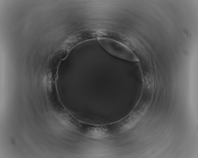 X0000112930223200909141340