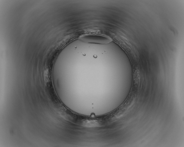 X0000112930224200909141340