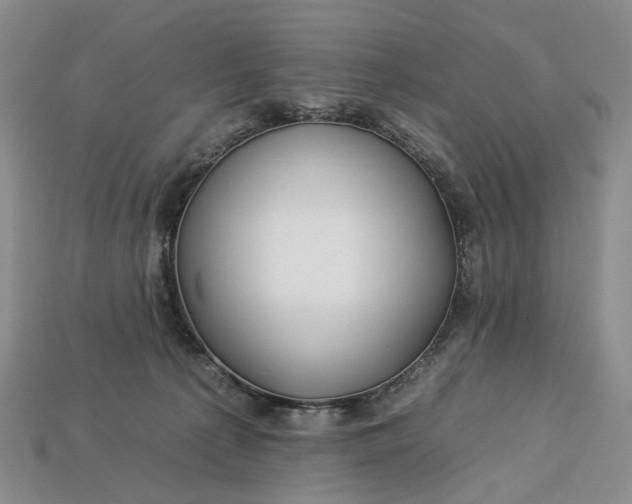 X0000112930225200909141340