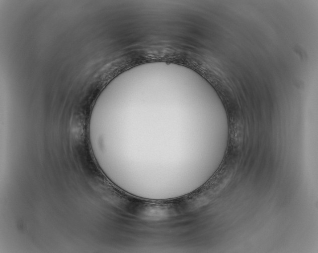 X0000112930226200909141340