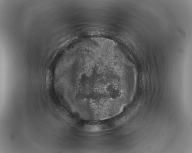 X0000112930228200909141340