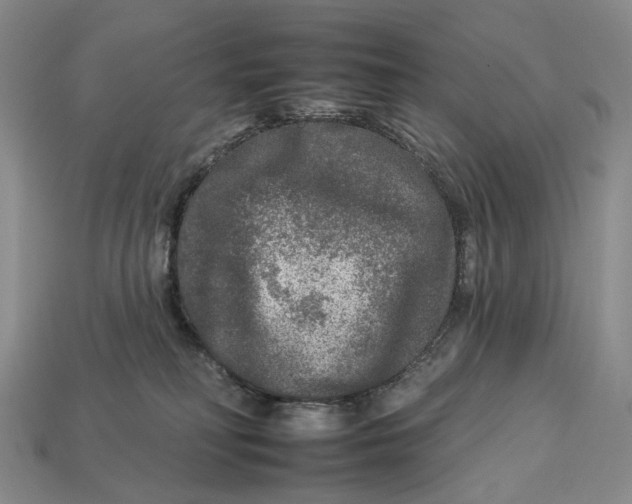 X0000112930230200909141340